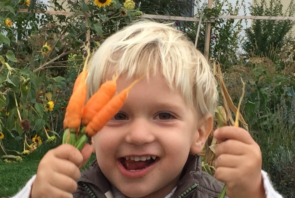 Kind mit Karotten
