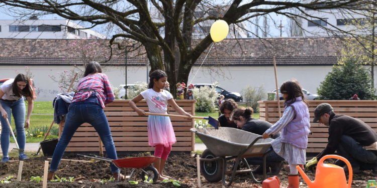 Workshop: Wie funktioniert ‚essbare Stadt‘ ?