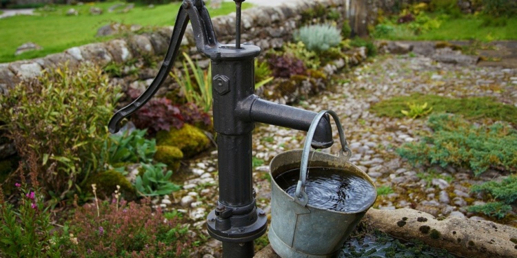 Gartenpraxis: Bewässerung