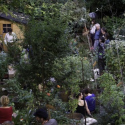 animations dans le jardin partagé solidaire "l"Univert" dans le 18ème,  Concert